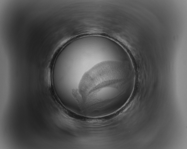 X0000100481171200806131224