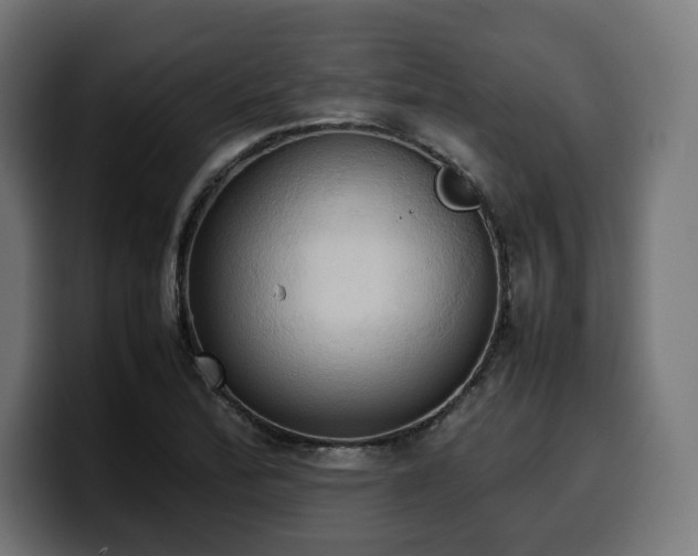 X0000100481172200806131224