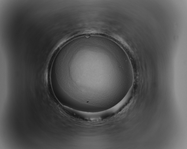 X0000100481173200806131224