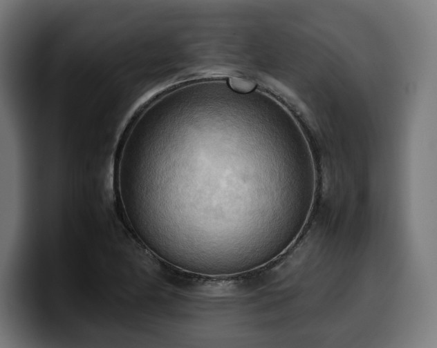 X0000100481174200806131224