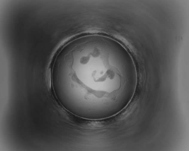 X0000100481175200806131224