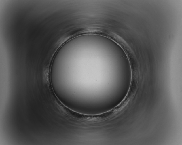 X0000100481177200806131224