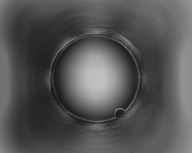 X0000100481178200806131224
