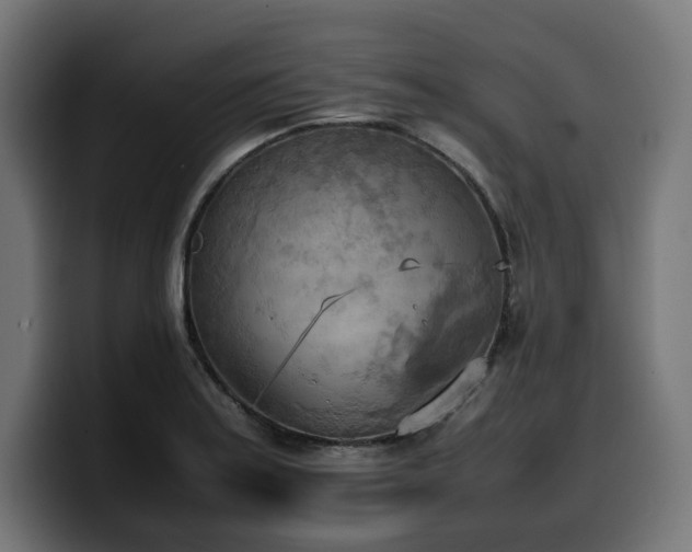 X0000100481179200806131224