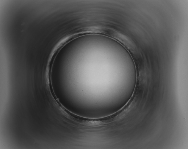 X0000100481180200806131224