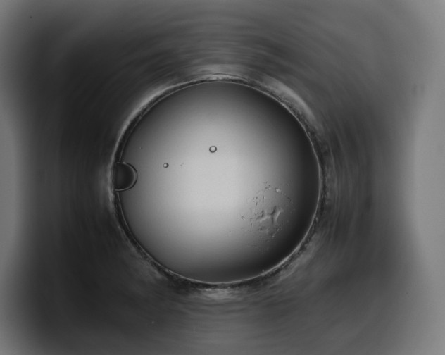 X0000100481182200806131224