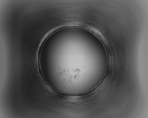 X0000100481184200806131224