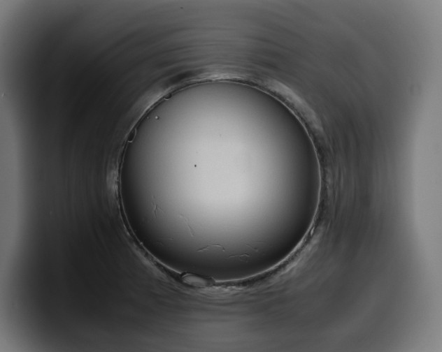X0000100481185200806131224