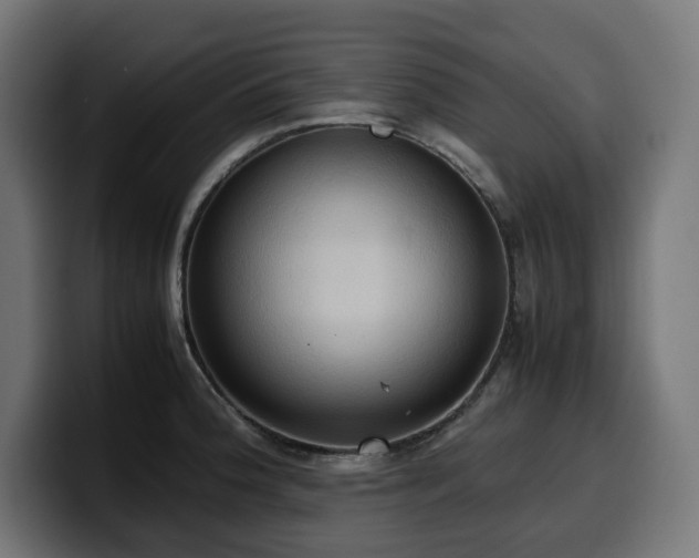 X0000100481188200806131224