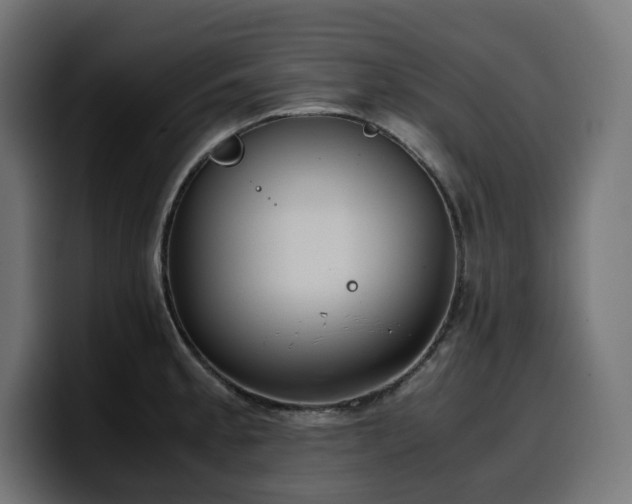 X0000100481189200806131224