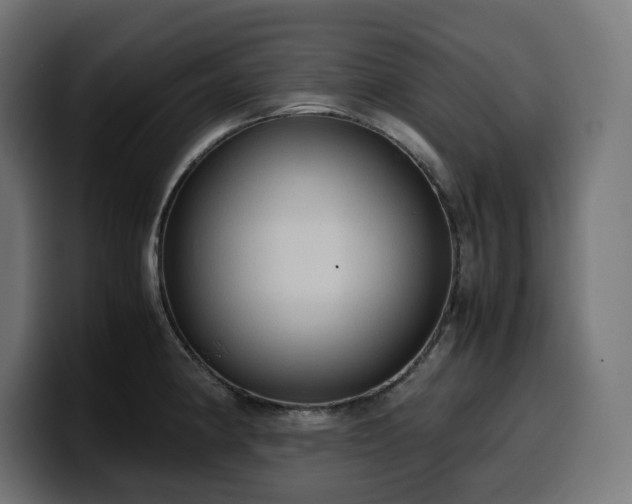 X0000100481190200806131224