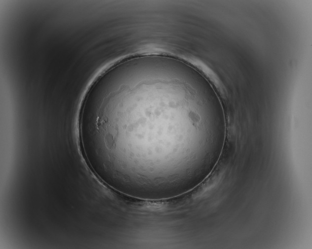X0000100481191200806131224