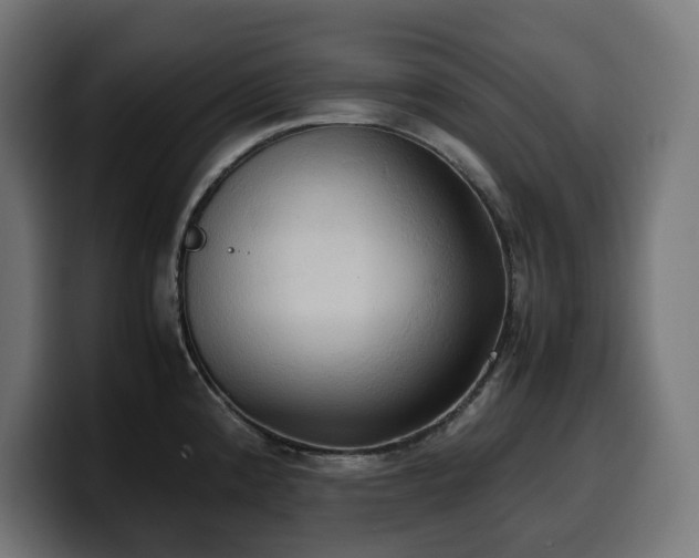 X0000100481192200806131224