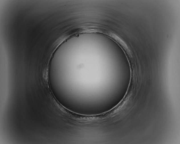 X0000100481193200806131224