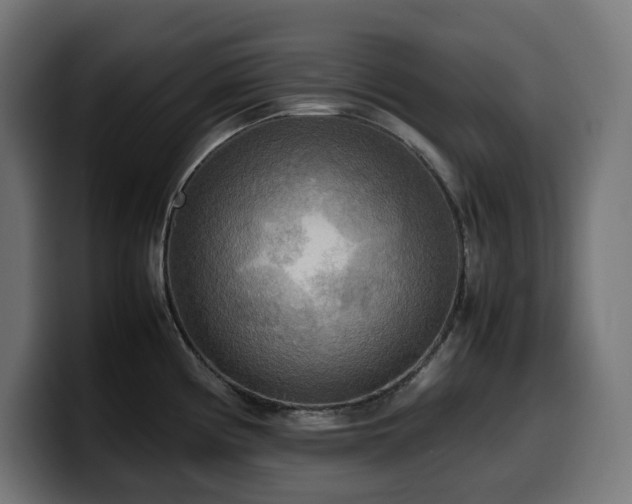 X0000100481194200806131224