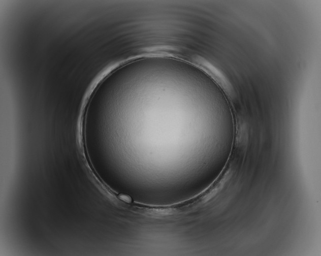 X0000100481196200806131224