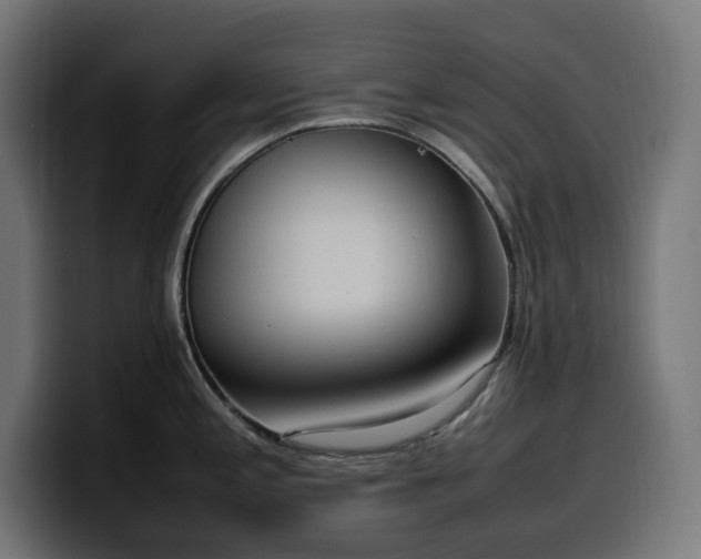 X0000100481197200806131224