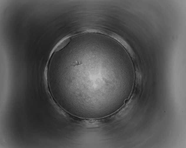 X0000100481198200806131224
