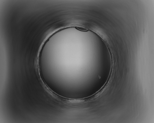 X0000100481200200806131224