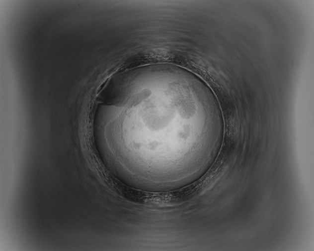 X0000100481201200806131223