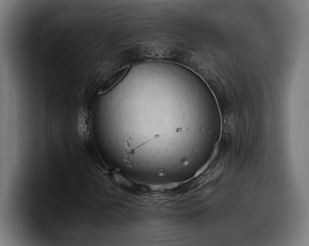 X0000100481202200806131223