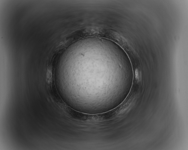 X0000100481203200806131223