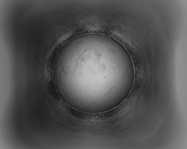 X0000100481207200806131223