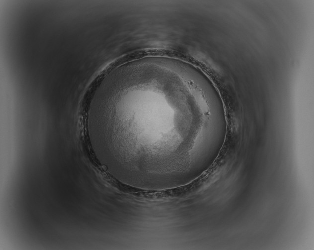 X0000100481208200806131223
