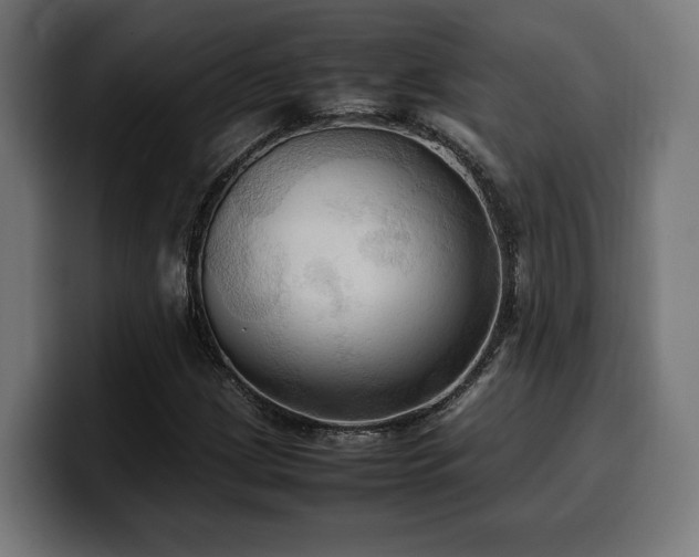 X0000100481209200806131223