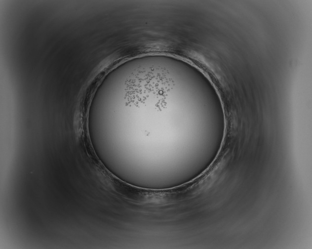 X0000100481211200806131223