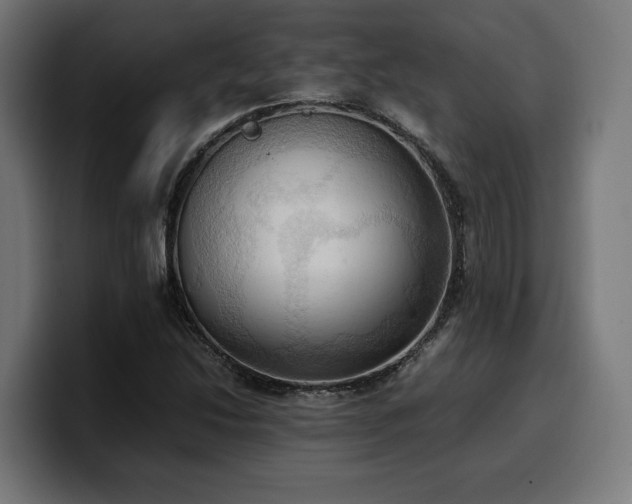 X0000100481214200806131223
