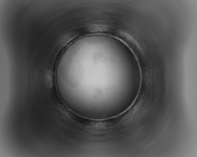 X0000100481217200806131223