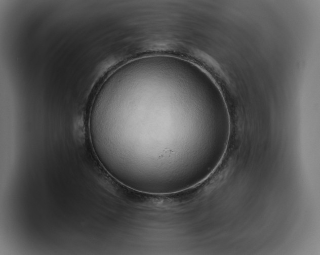 X0000100481218200806131223