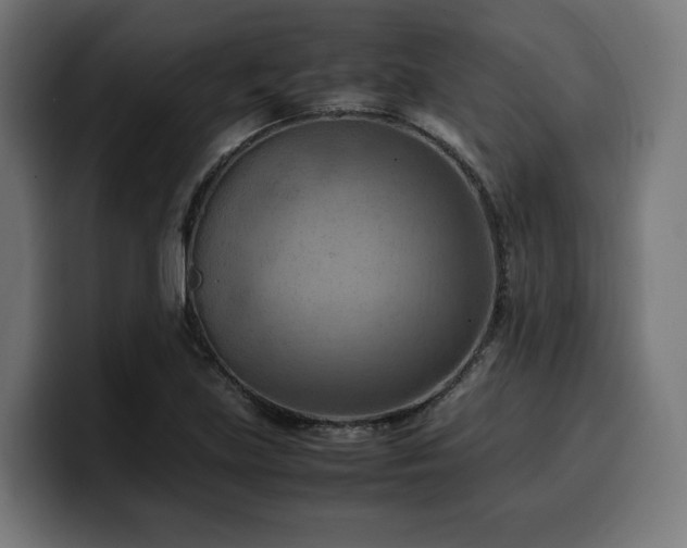 X0000100481219200806131223