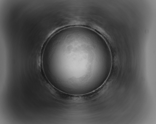 X0000100481220200806131223
