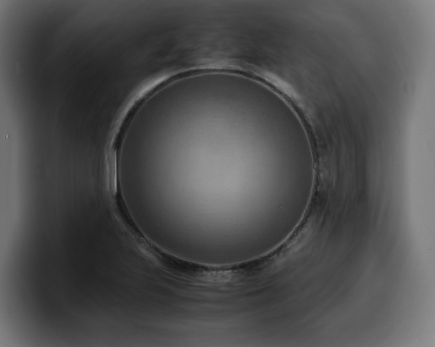 X0000100481223200806131223