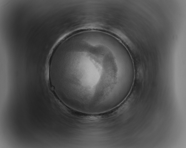 X0000100481224200806131223