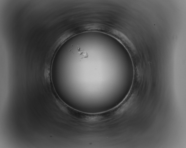 X0000100481225200806131223