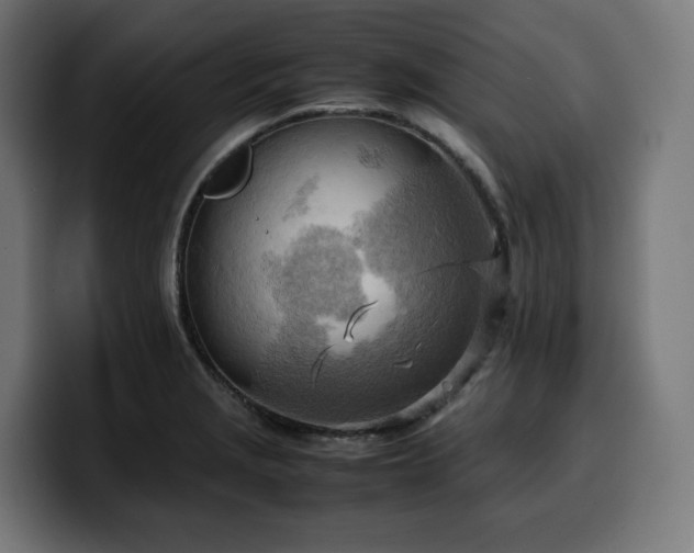 X0000100481229200806131223