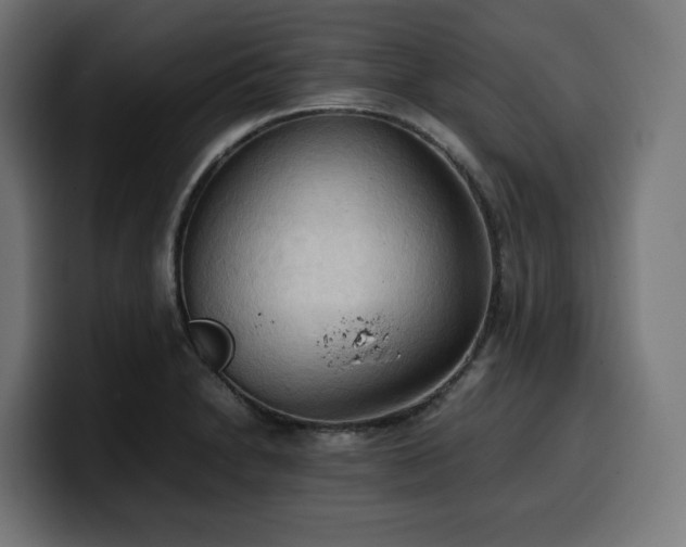 X0000100481230200806131223