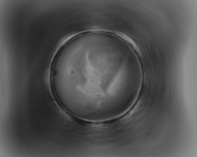 X0000100481231200806131223