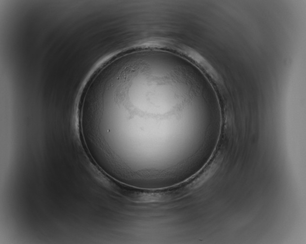 X0000100481232200806131223
