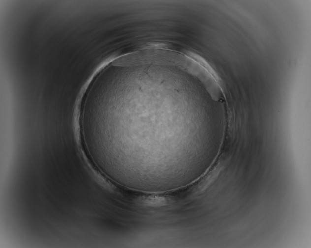 X0000100481235200806131223