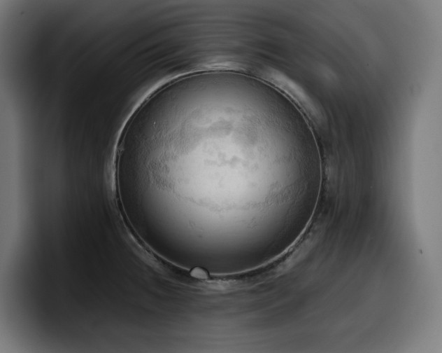 X0000100481236200806131223