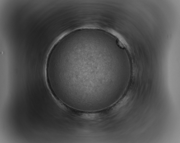 X0000100481237200806131223
