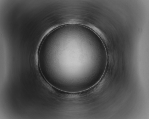 X0000100481238200806131223