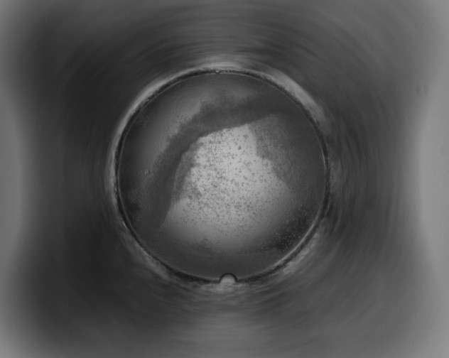 X0000100481240200806131224