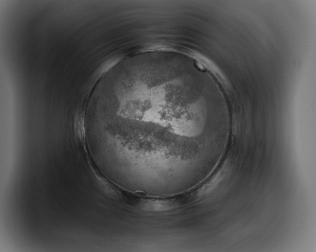 X0000100481241200806131224