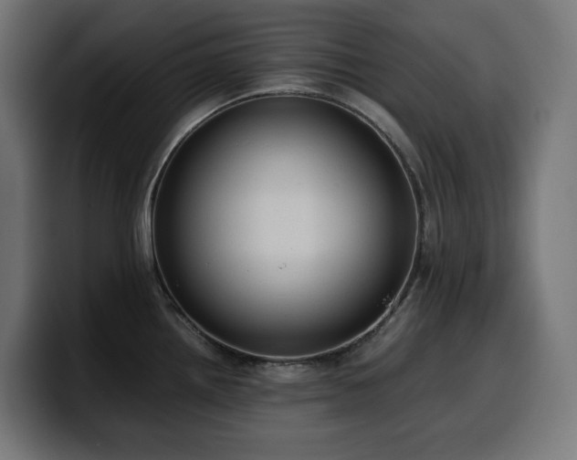 X0000100481242200806131224