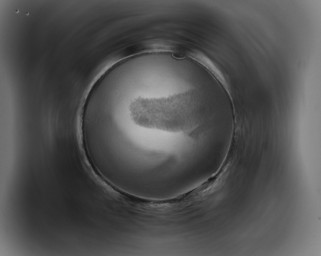 X0000100481243200806131224